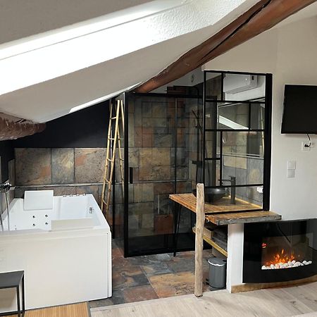 Duplex Lumineux Sur Gde Terrasse, Balneo Double, Parking Prive, Clim, Local Velos Entraigues-sur-la-Sorgue Екстериор снимка