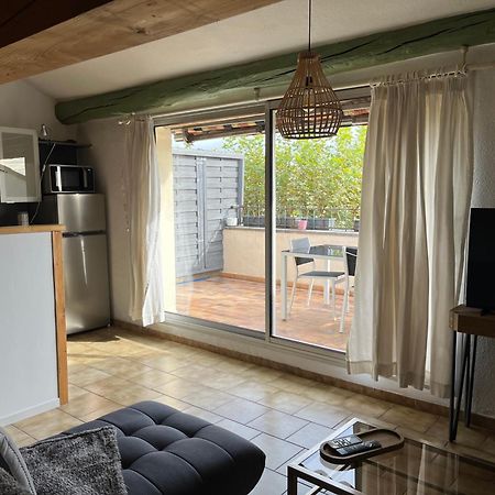 Duplex Lumineux Sur Gde Terrasse, Balneo Double, Parking Prive, Clim, Local Velos Entraigues-sur-la-Sorgue Екстериор снимка